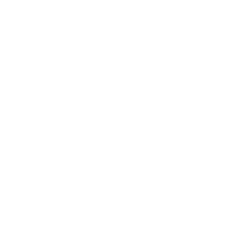 DN Agency Logo